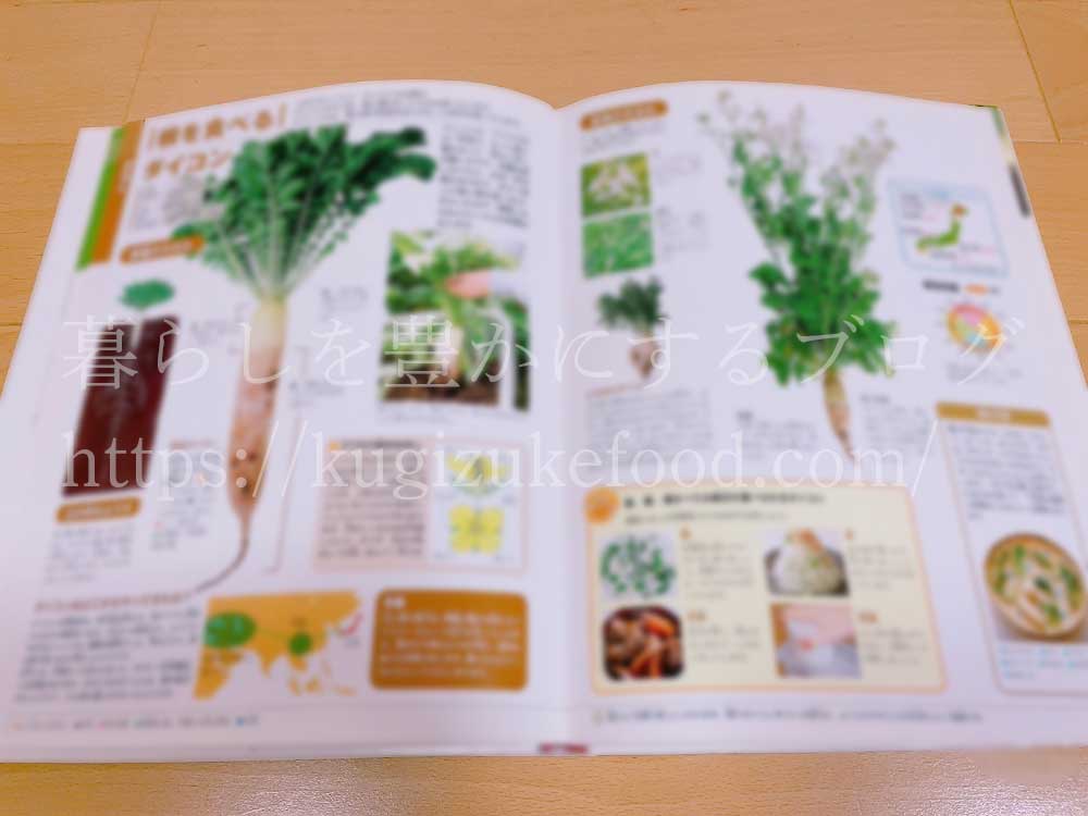 小学館の図鑑NEO野菜と果物