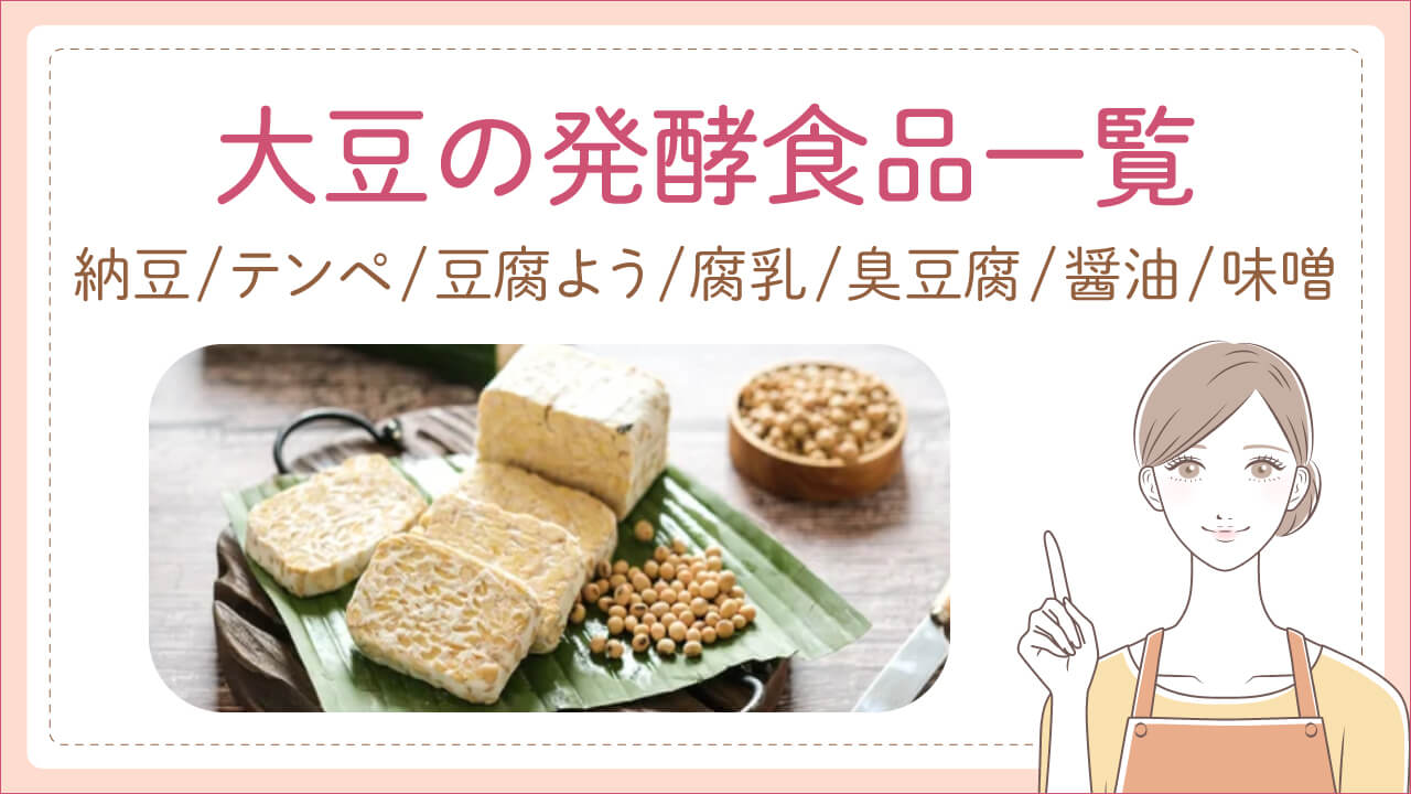 大豆の発酵食品一覧・テンペと豆腐