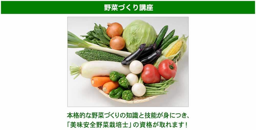 日本創芸学院ハッピーチャレンジゼミの野菜づくり講座